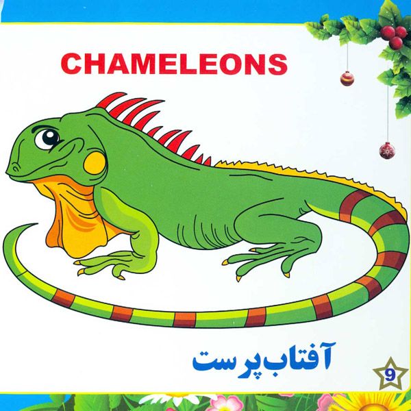 شناخت خزندگان